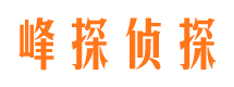 南江市婚外情调查